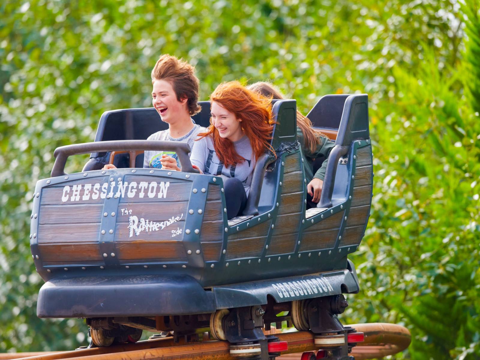 10% off Chessington World of Adventures